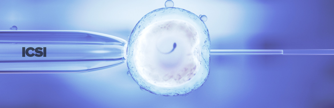 ICSI Procedure
